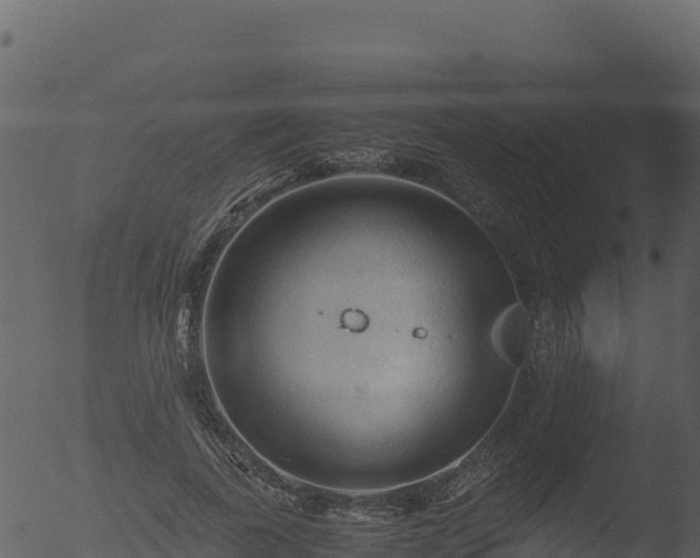 X0000053090739200507181718