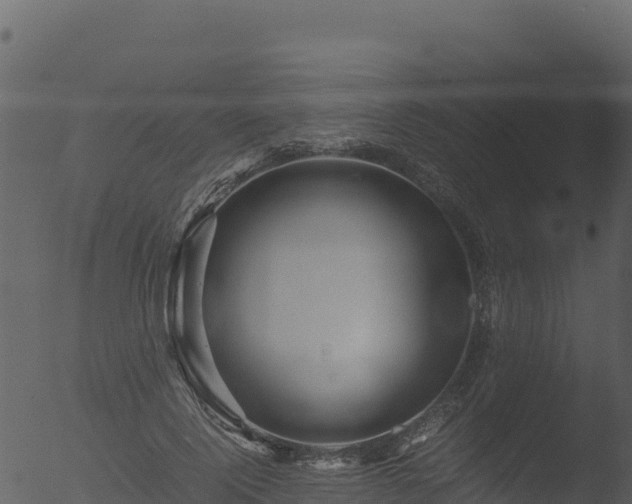 X0000053090740200507181718