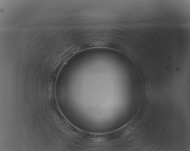 X0000053090741200507181718