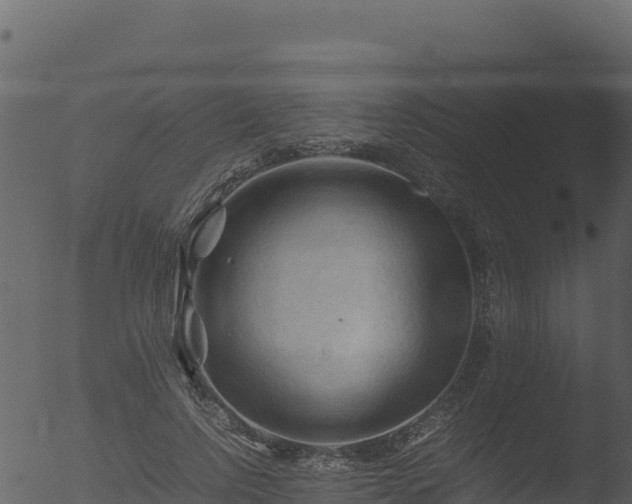 X0000053090742200507181718