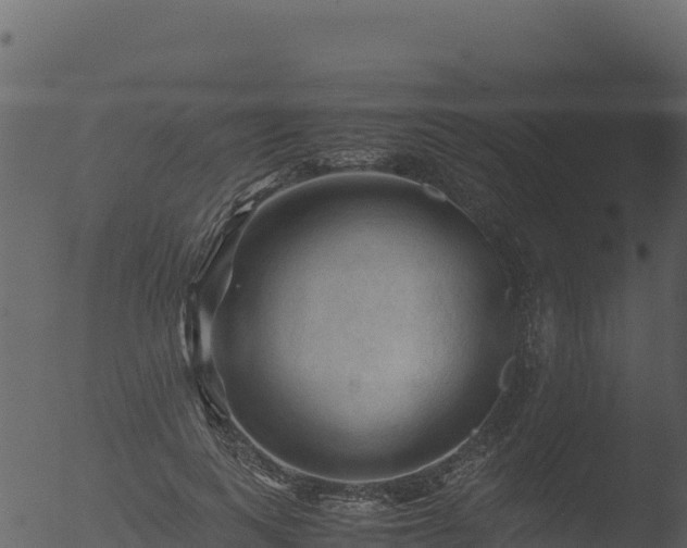 X0000053090743200507181718