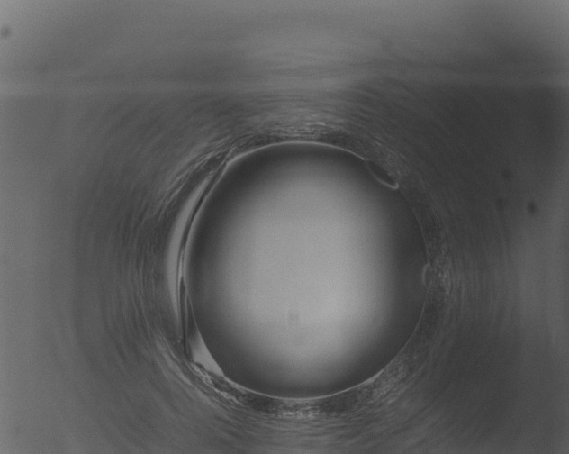 X0000053090744200507181718