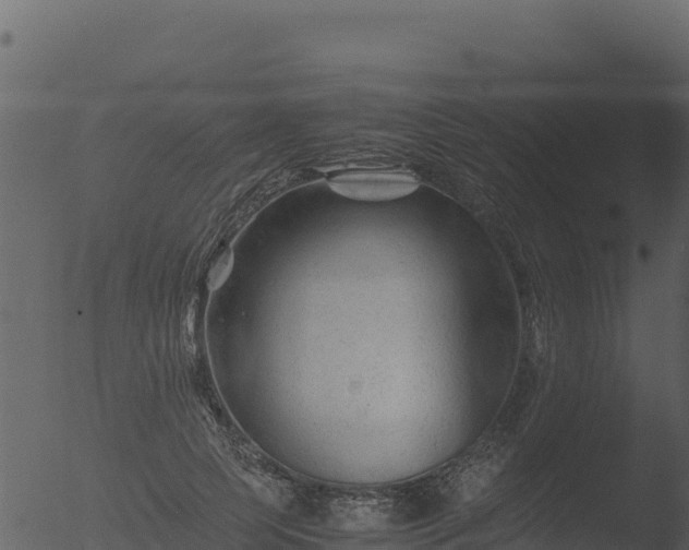 X0000053090745200507181718