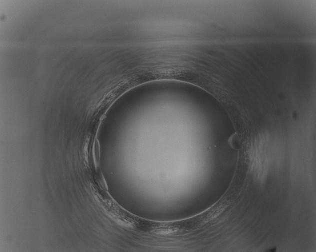 X0000053090746200507181718