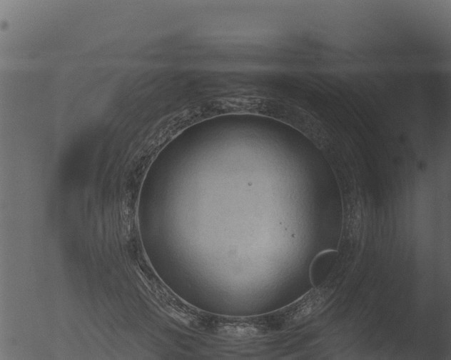 X0000053090749200507181718