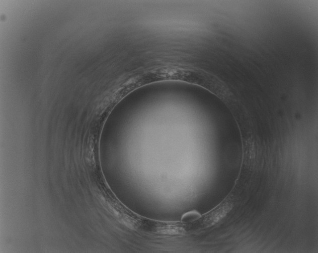 X0000053090754200507181718