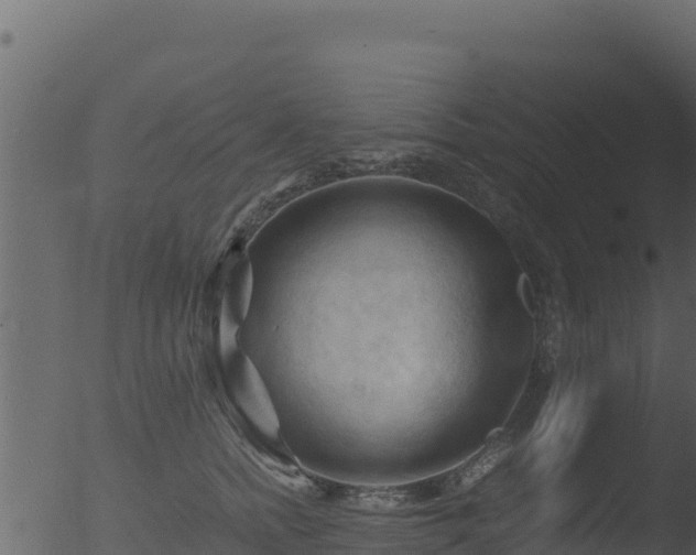 X0000053090758200507181718