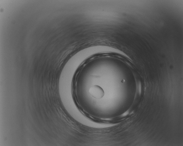 X0000053090762200507181718