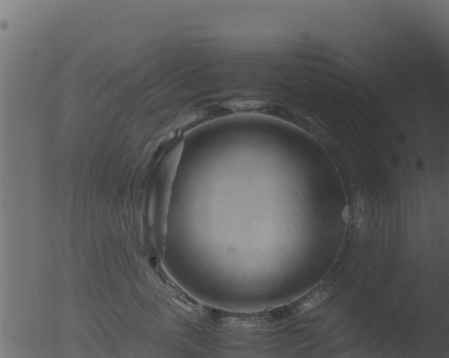 X0000053090763200507181718