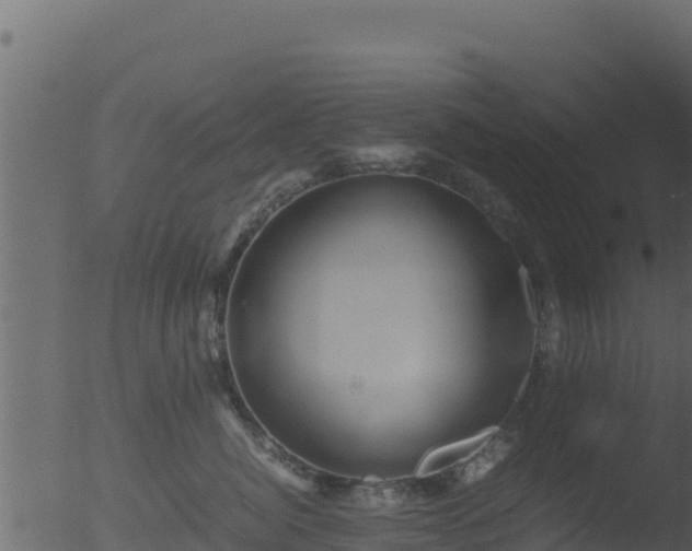 X0000053090764200507181718