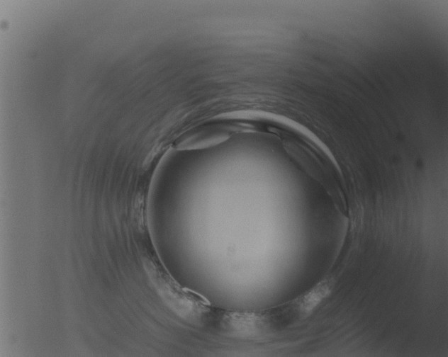 X0000053090766200507181718