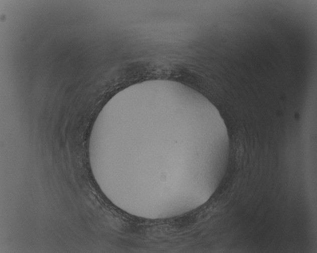 X0000053090769200507181718