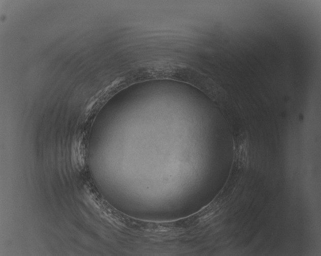 X0000053090772200507181718