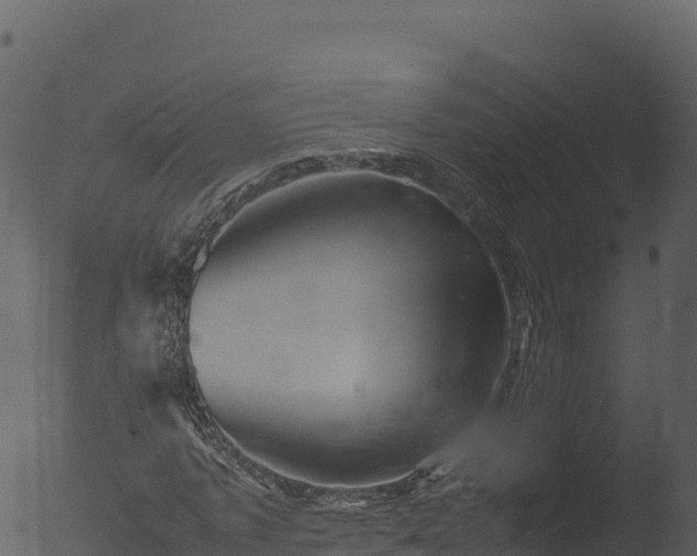 X0000053090773200507181718