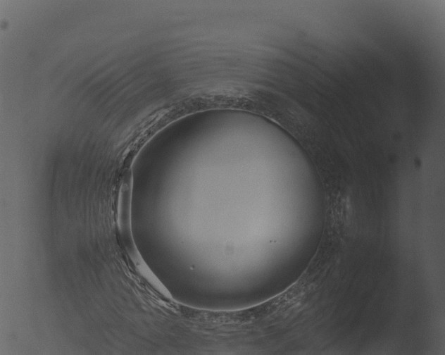 X0000053090774200507181718