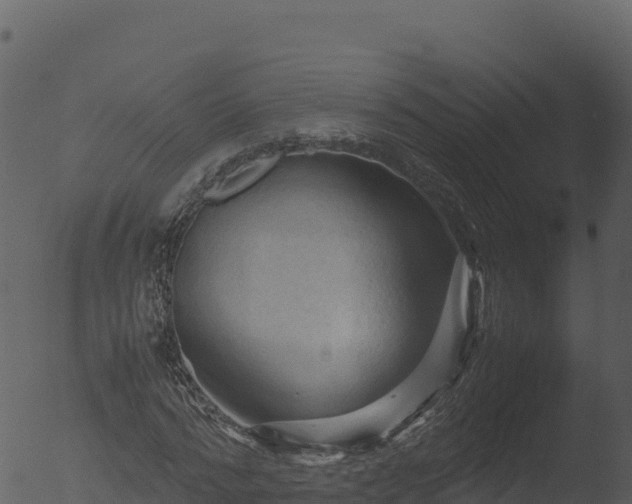 X0000053090776200507181718