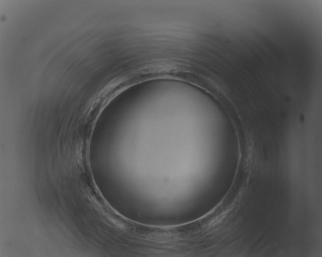 X0000053090778200507181718