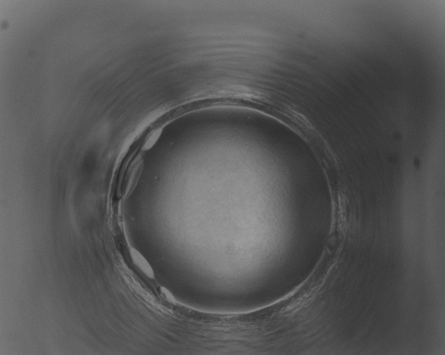 X0000053090780200507181718