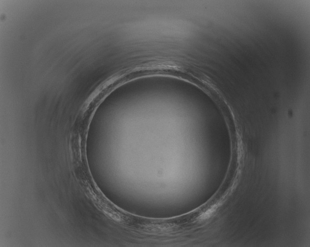 X0000053090781200507181717