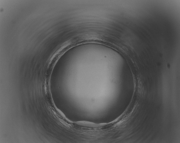 X0000053090782200507181717