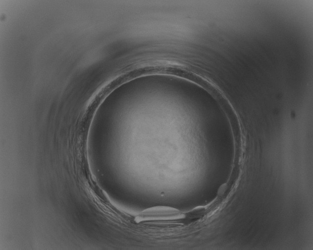 X0000053090783200507181717