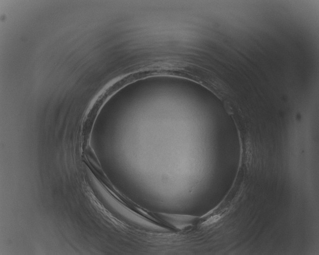 X0000053090784200507181717