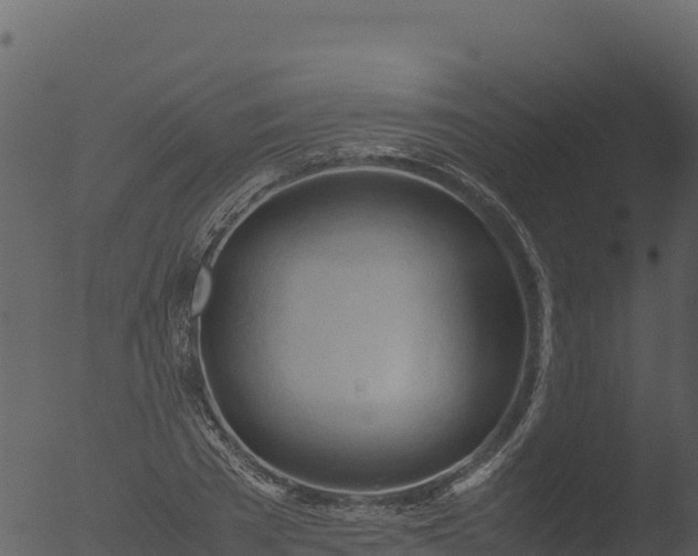 X0000053090785200507181717