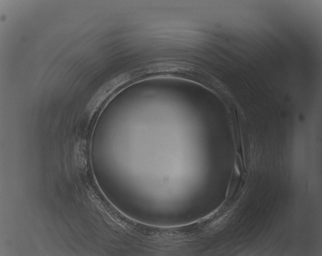 X0000053090786200507181717