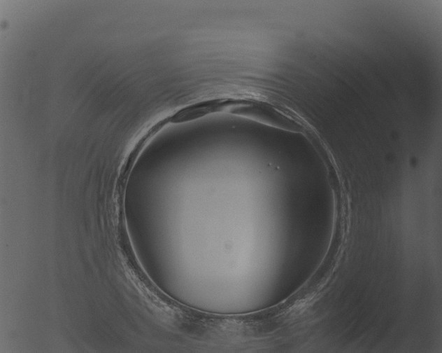 X0000053090787200507181717