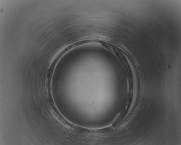 X0000053090788200507181717