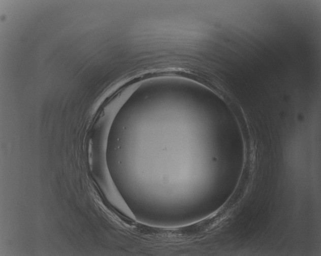 X0000053090789200507181717