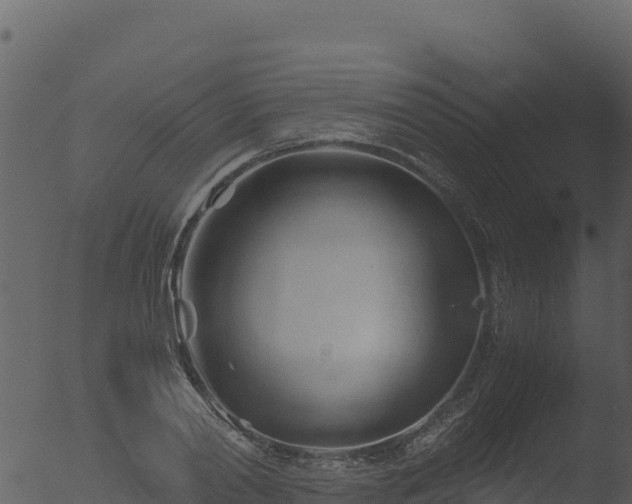 X0000053090790200507181717