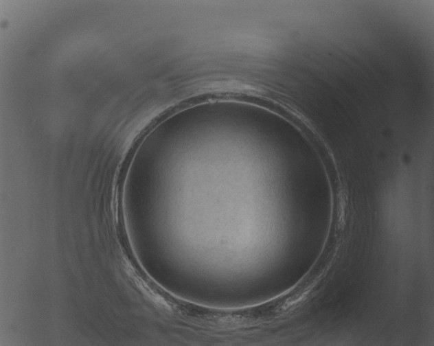 X0000053090791200507181717