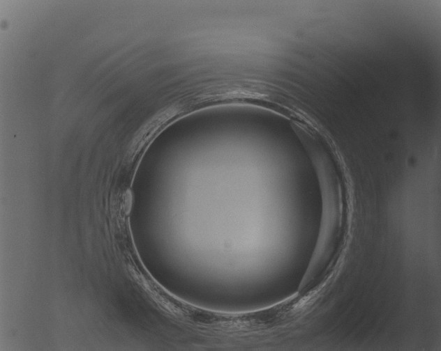 X0000053090793200507181717