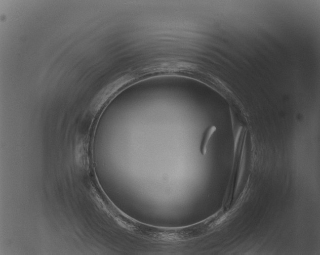 X0000053090794200507181717