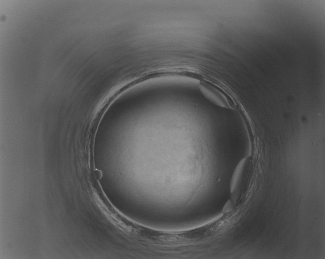 X0000053090795200507181717