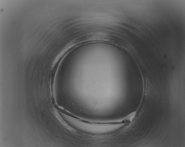 X0000053090796200507181717