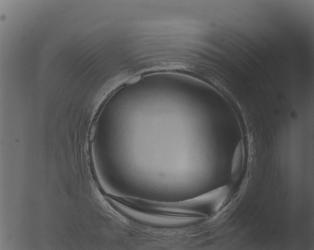 X0000053090797200507181717