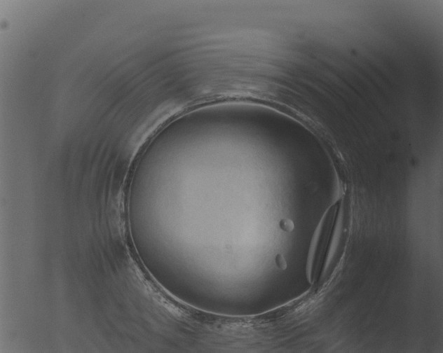 X0000053090798200507181717