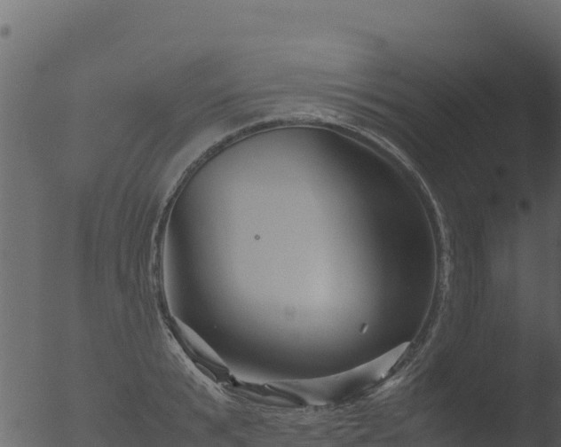 X0000053090799200507181717