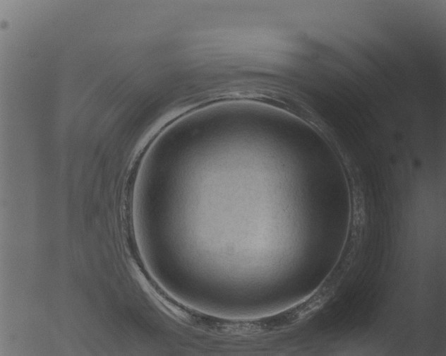 X0000053090803200507181717