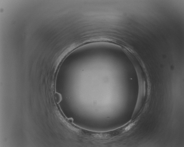 X0000053090805200507181717