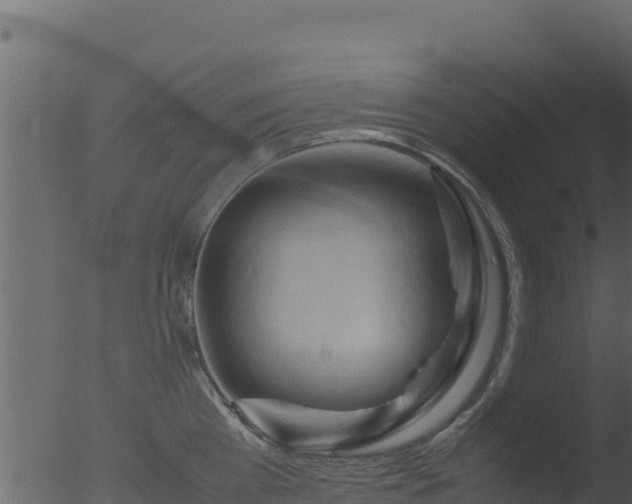 X0000053090809200507181717