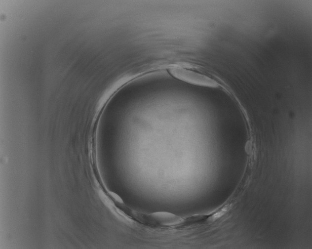 X0000053090811200507181717