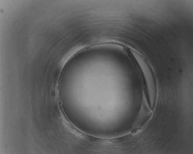 X0000053090814200507181717