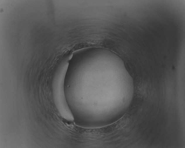 X0000053090817200507181716