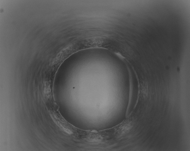 X0000053090818200507181716