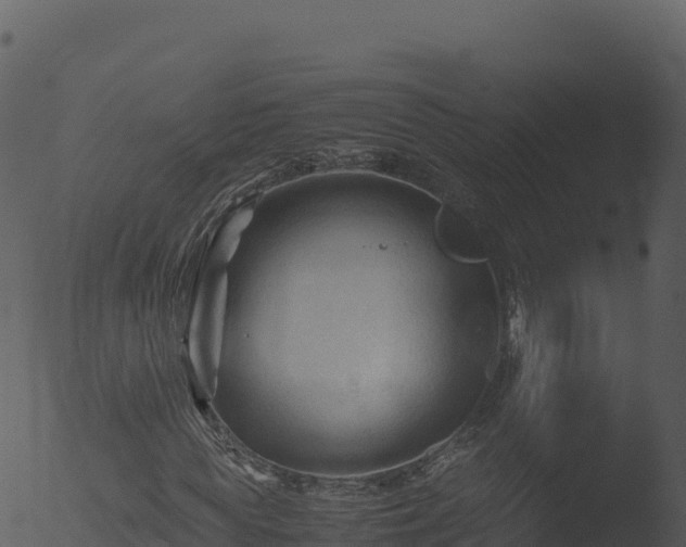 X0000053090819200507181716