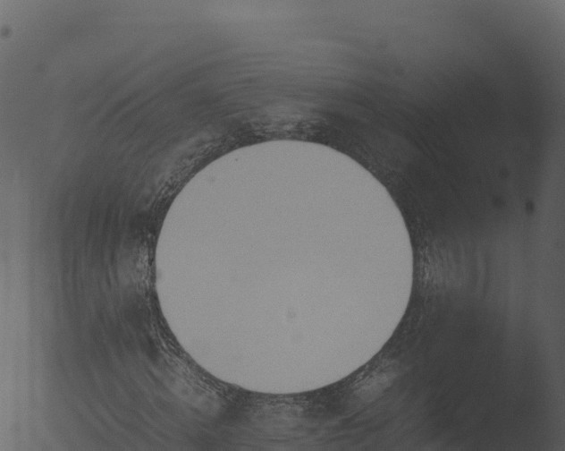 X0000053090820200507181716