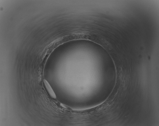 X0000053090821200507181716